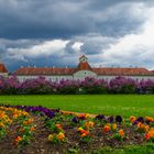 Frühling im Nymphenburger Schlosspark