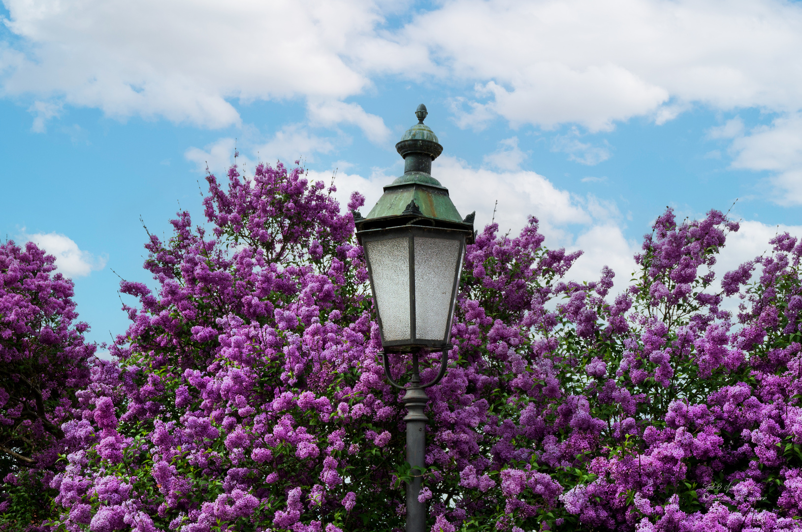 Frühling im Nymphenburger Schlosspark