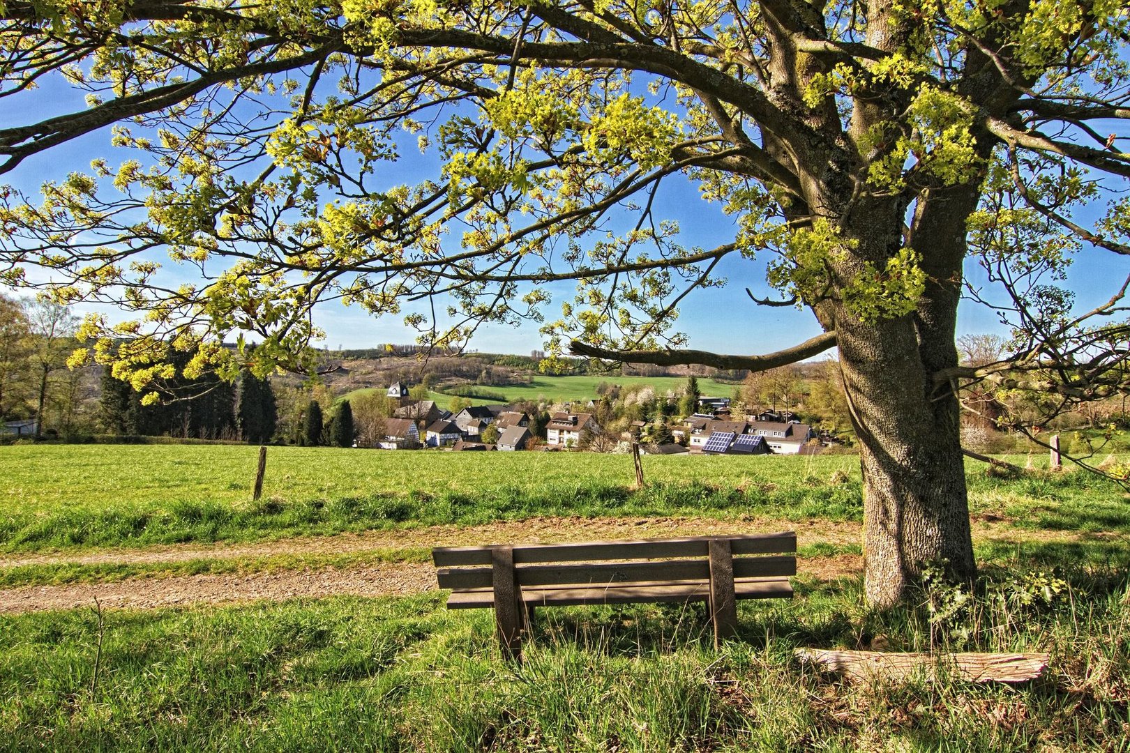 Frühling im Oberbergischen II