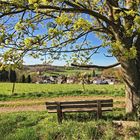 Frühling im Oberbergischen II