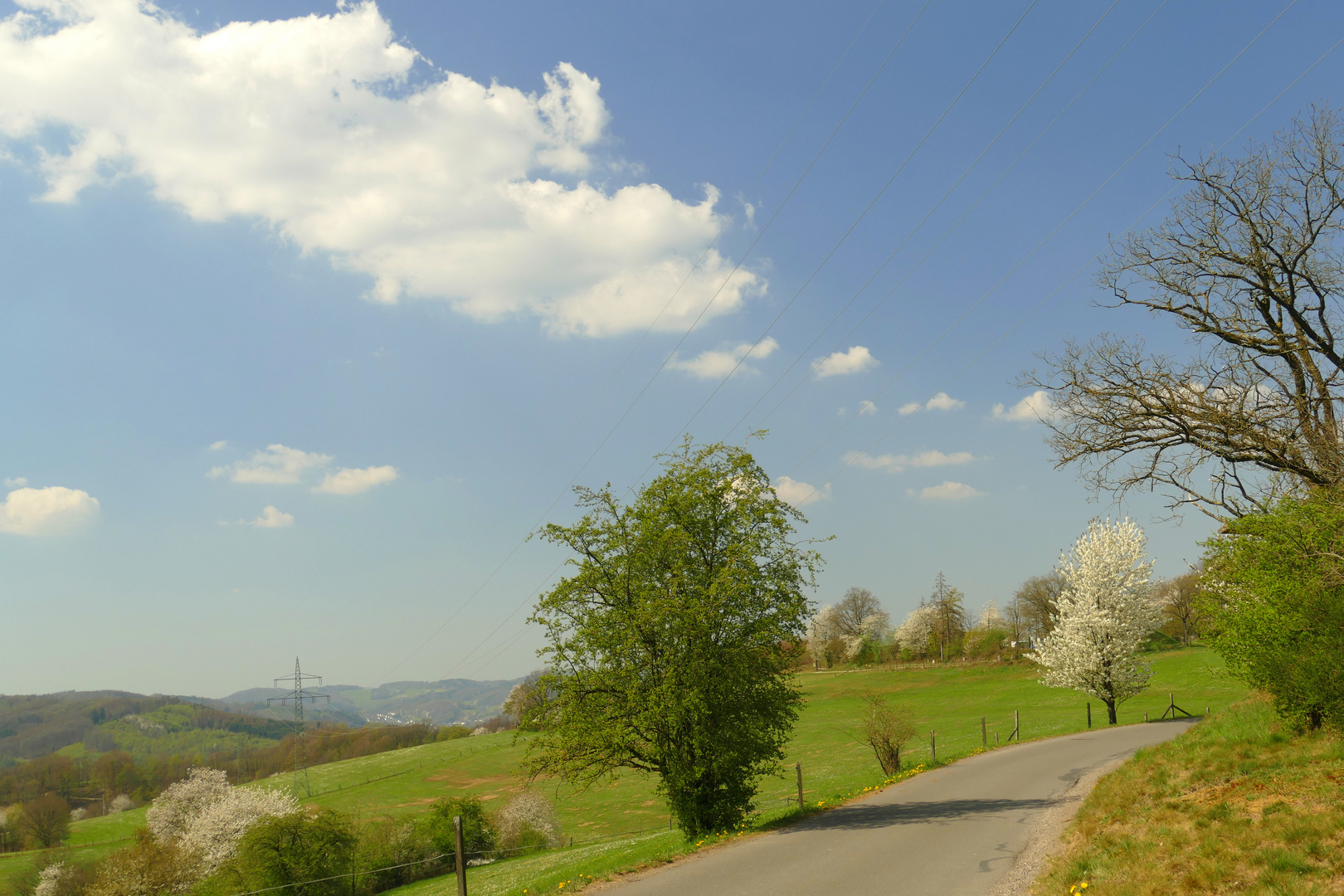 °°°° Frühling im Oberbergischen Land °°°°