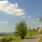 °°°° Frühling im Oberbergischen Land °°°°