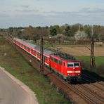 Frühling im Oberrheingraben