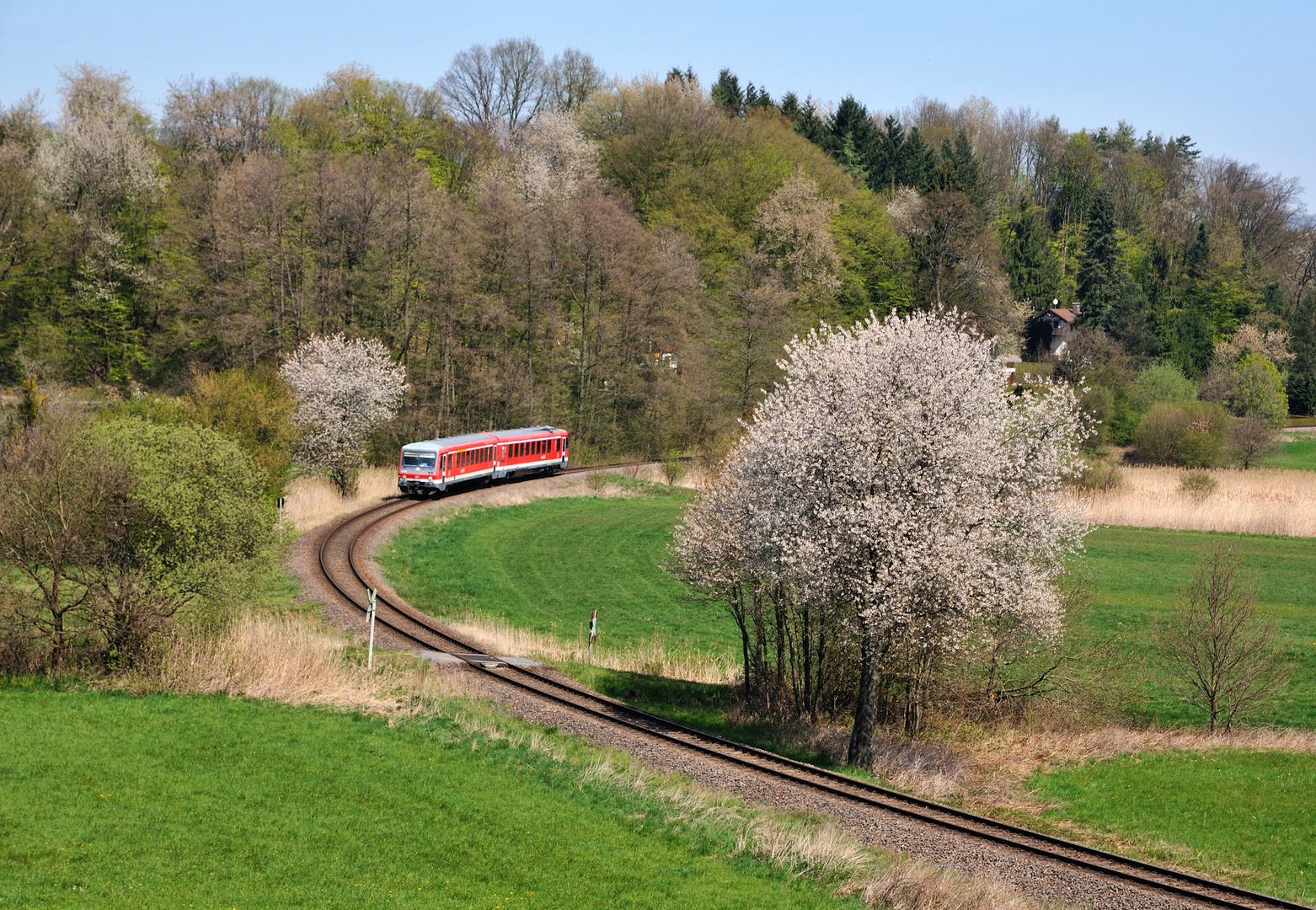 Frühling im Odenwald
