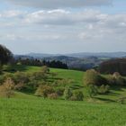 Frühling im Odenwald