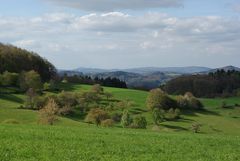 Frühling im Odenwald