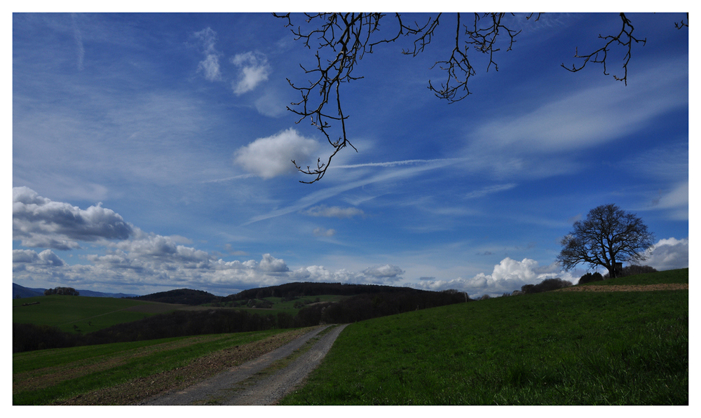 Frühling im Odenwald