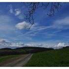 Frühling im Odenwald