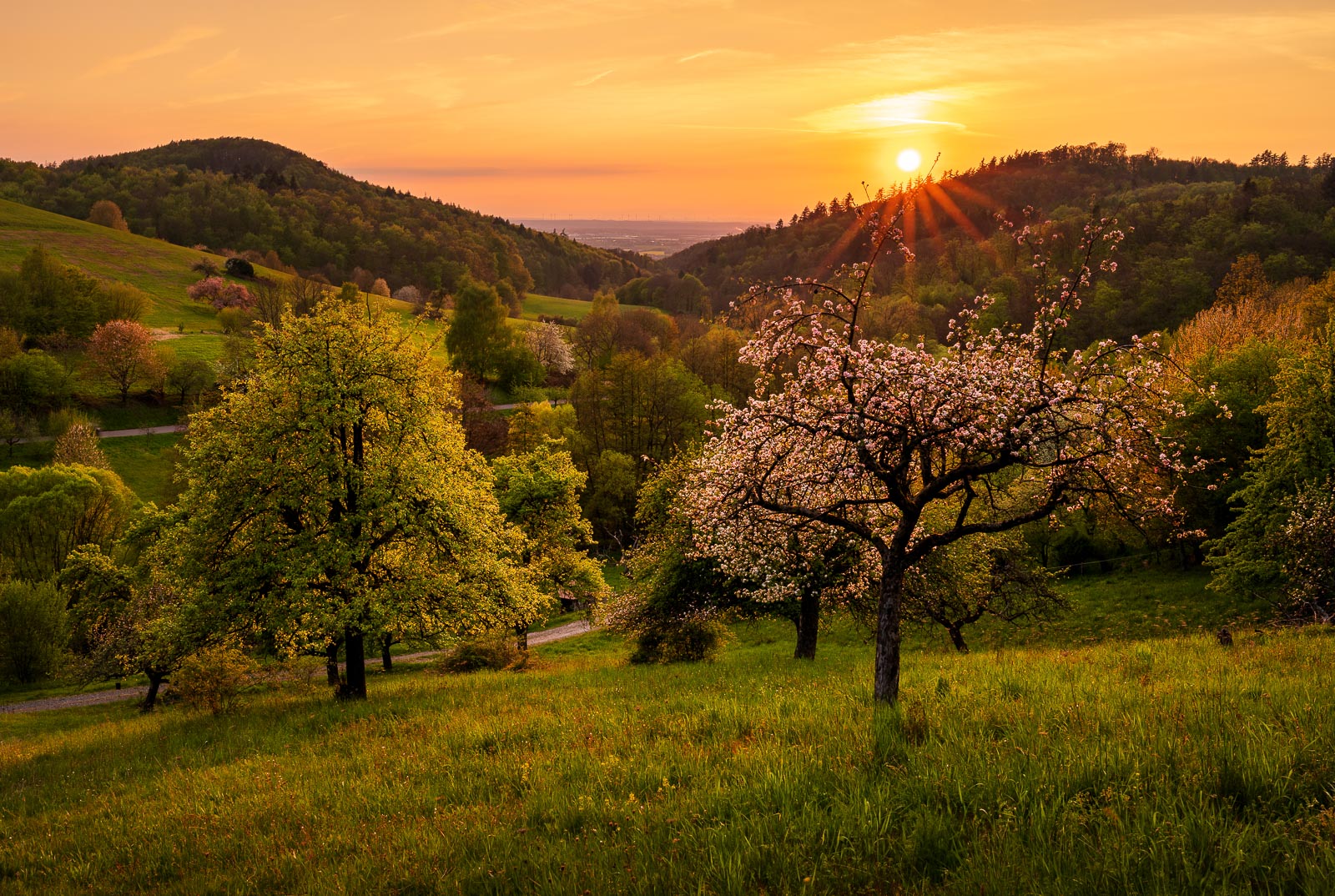 Frühling im Odenwald