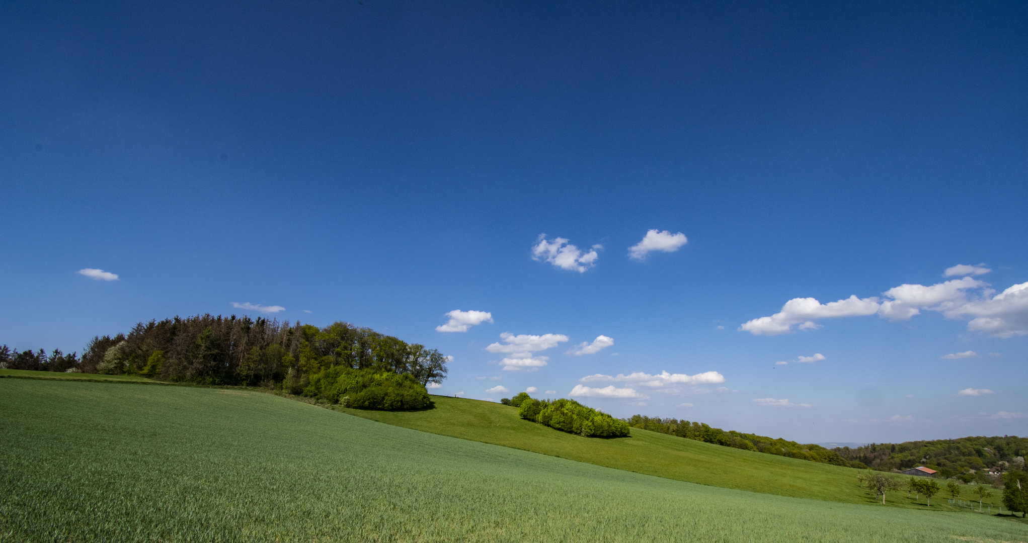 Frühling im Odenwald_2