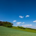 Frühling im Odenwald_2