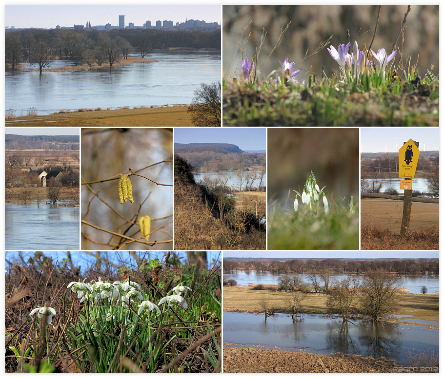 Frühling im Oderland