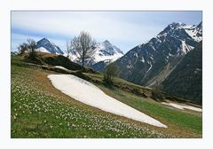 Frühling im Ötztal