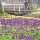 Frühling im Oldenburger Schloßgarten