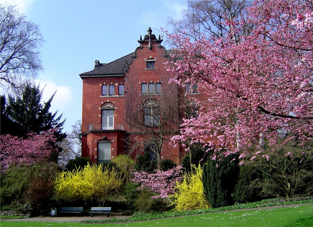 Frühling im Oldenburger Schloßgarten