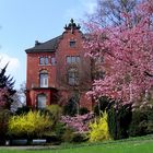 Frühling im Oldenburger Schloßgarten