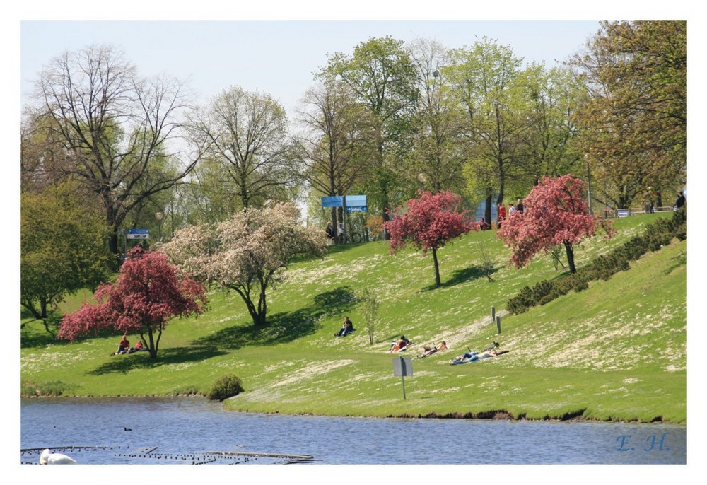 Frühling im Olympiapark 02