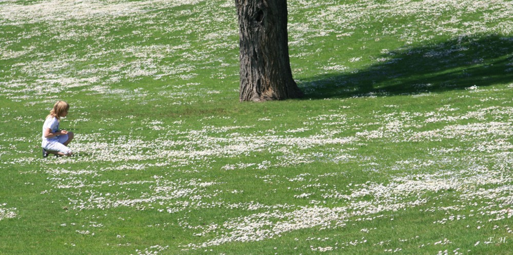 Frühling im Olympiapark 03