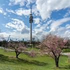 Frühling im Olympiapark - 2