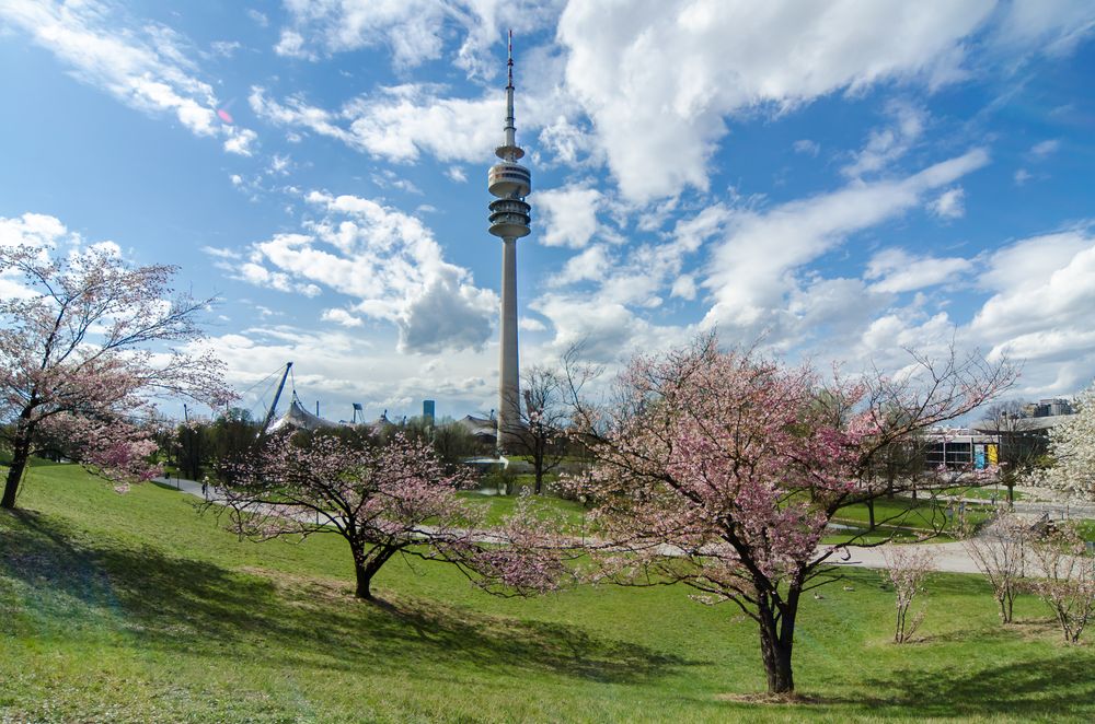 Frühling im Olympiapark - 2