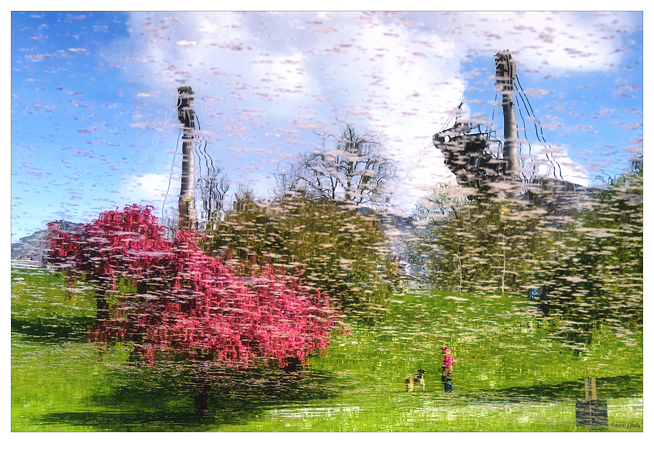 Frühling im Olympiapark