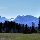 Frühling im Ostallgäu