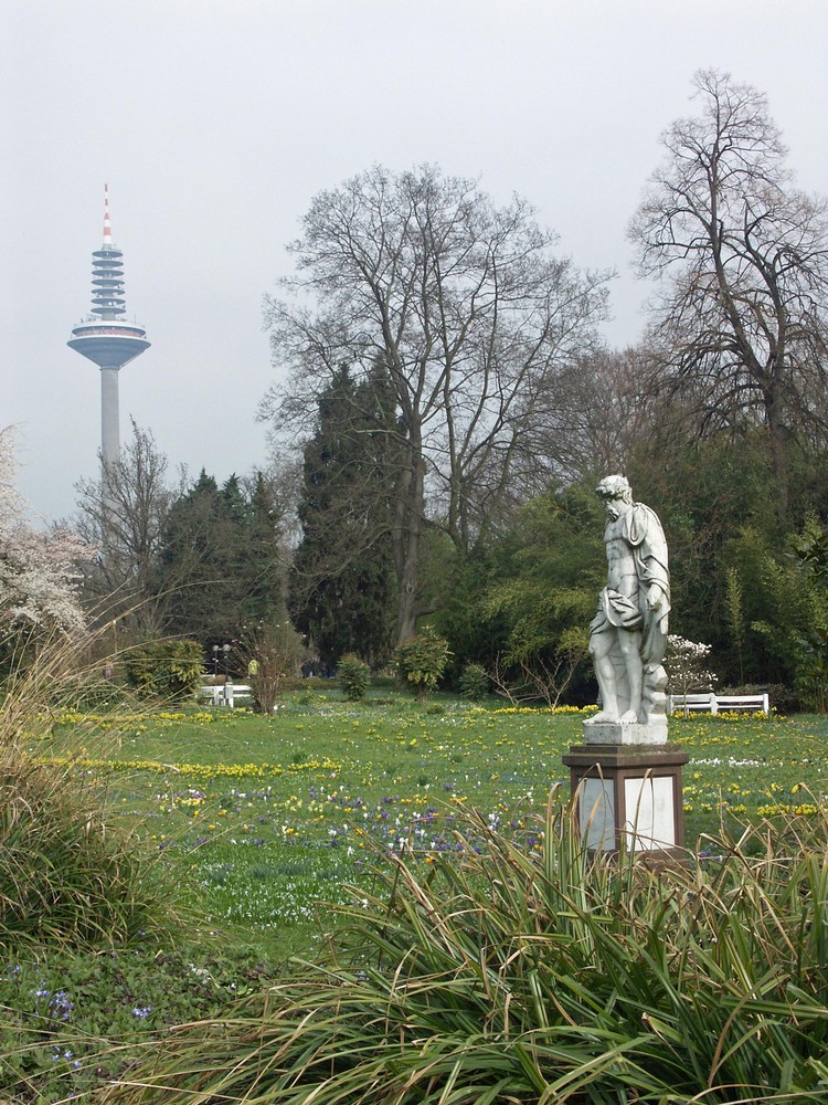 Frühling im Palmengarten