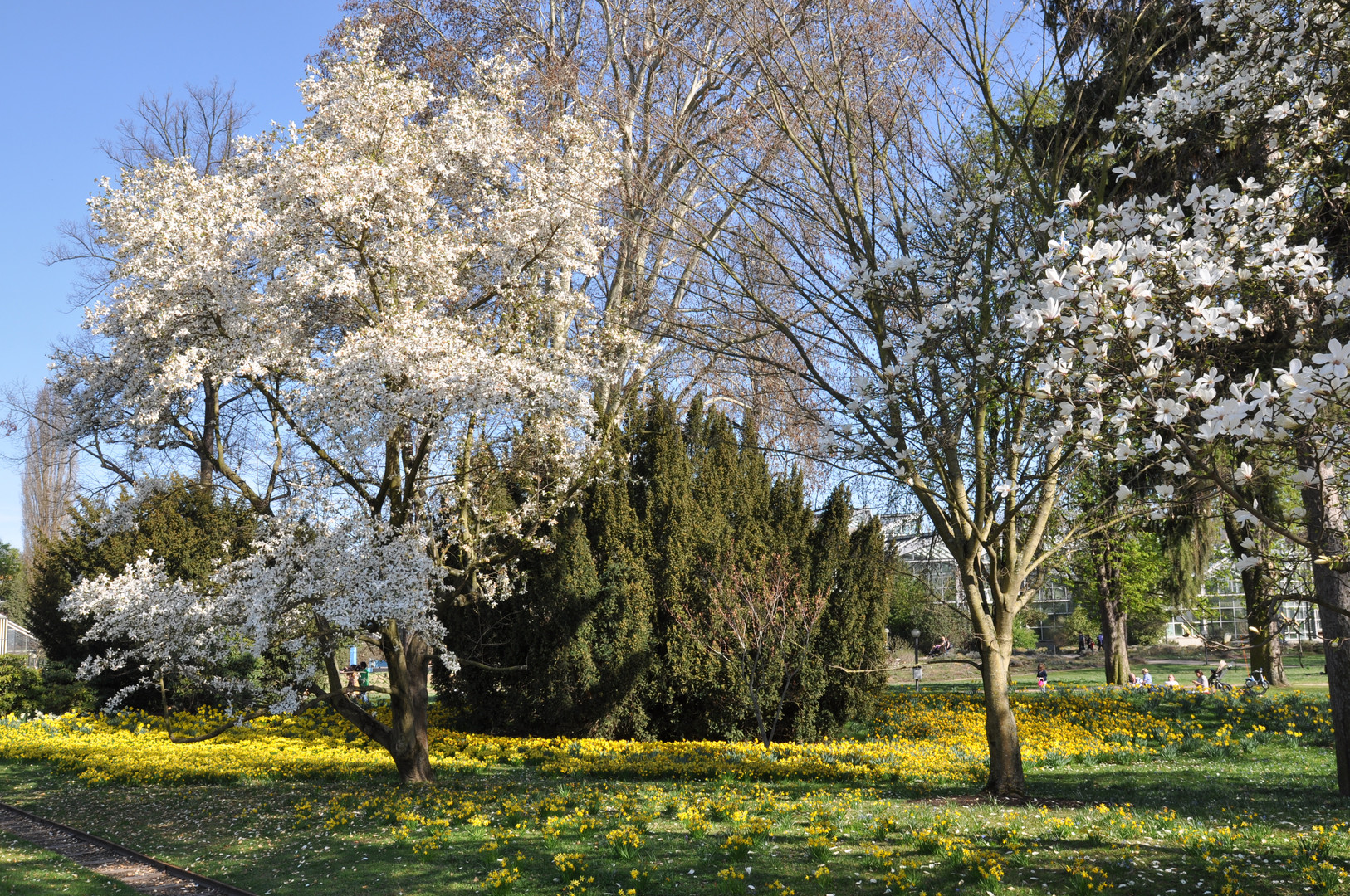 Frühling im Palmengarten