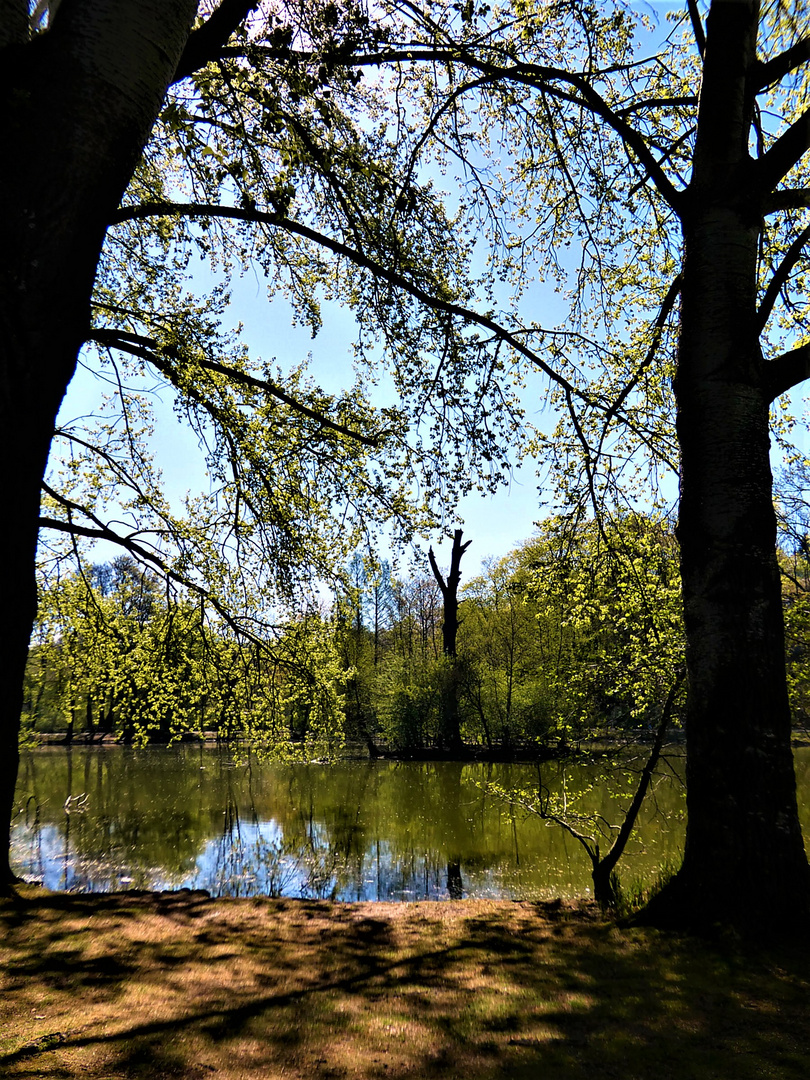 Frühling im Park 1