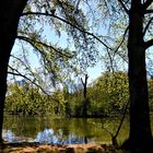 Frühling im Park 1