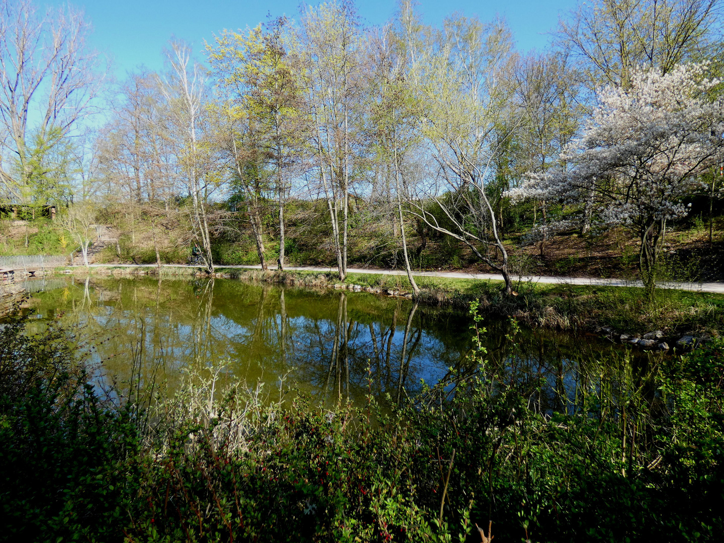 Frühling im Park 1