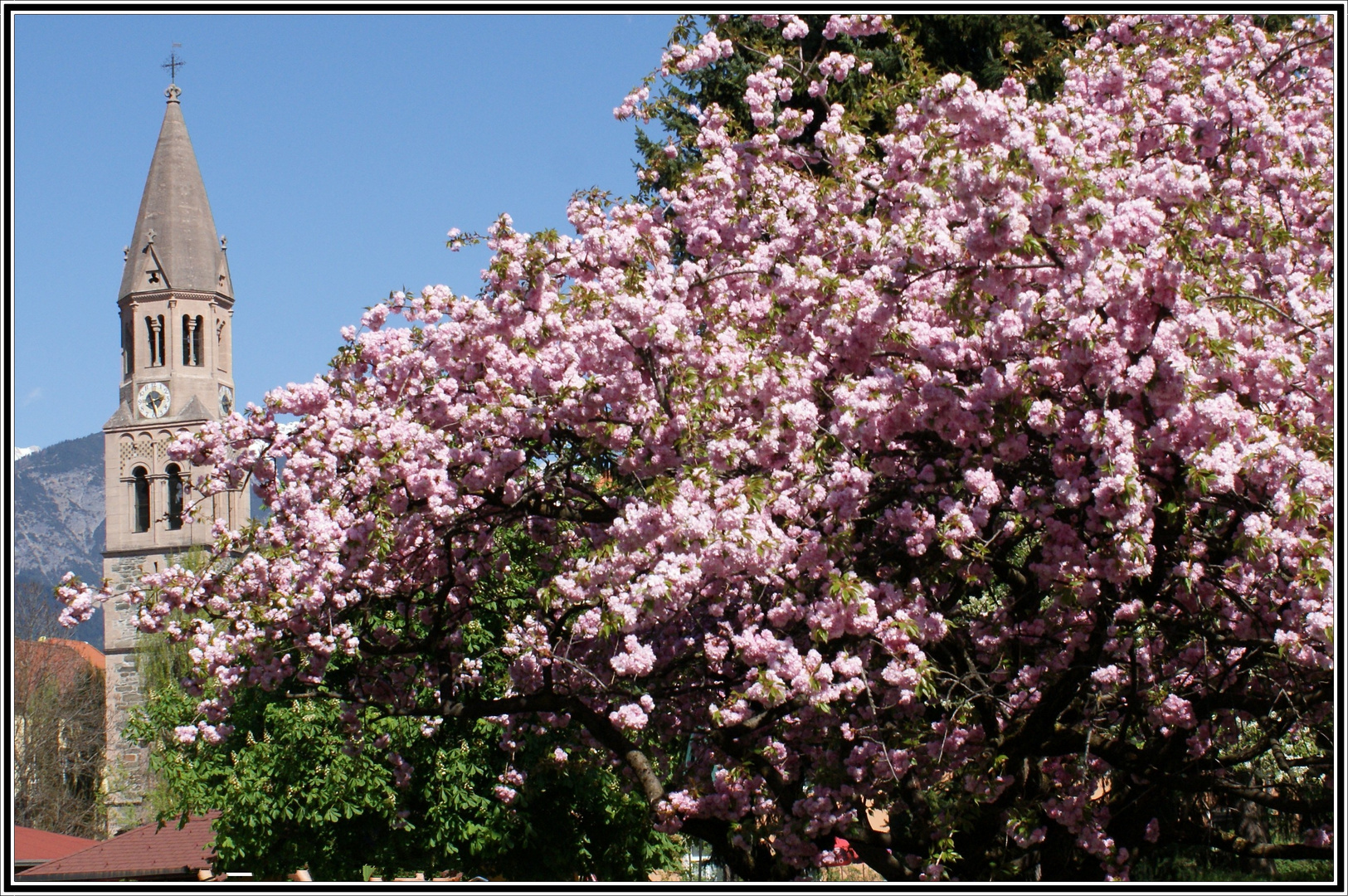 Frühling im Park 1