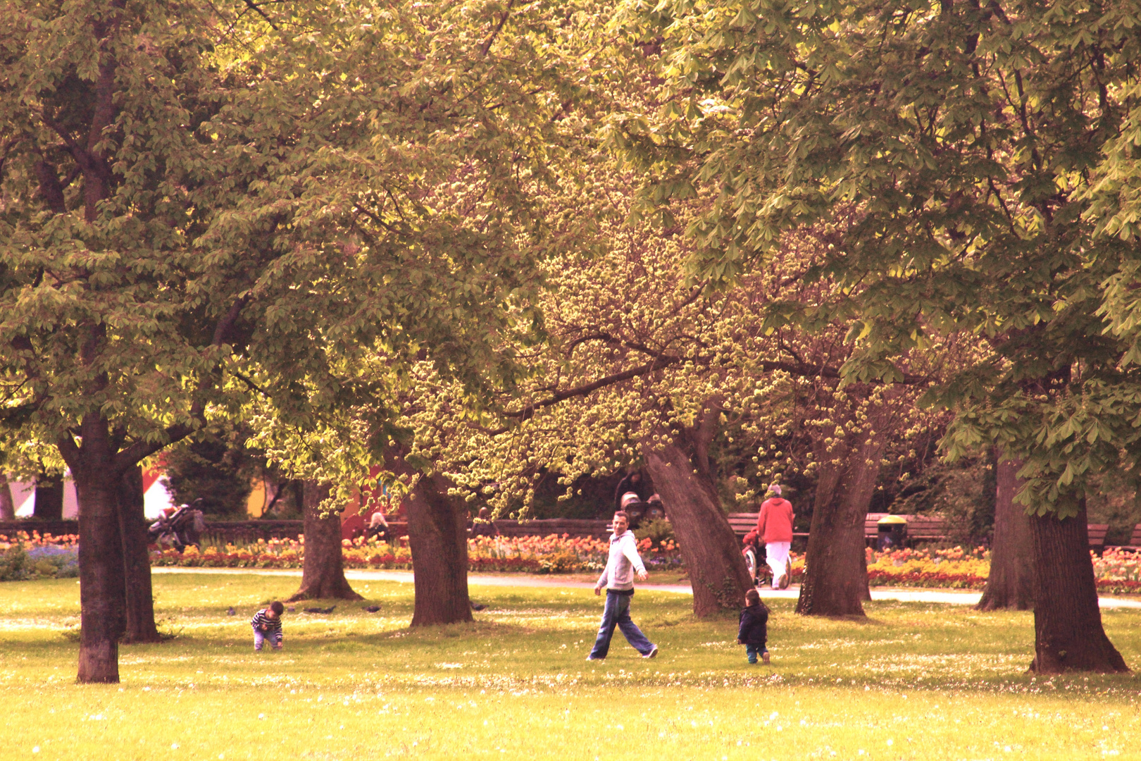 FRühling im Park....