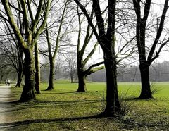 Frühling im Park