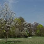 Frühling im Park (2)