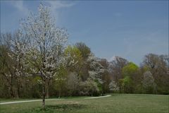 Frühling im Park (2)