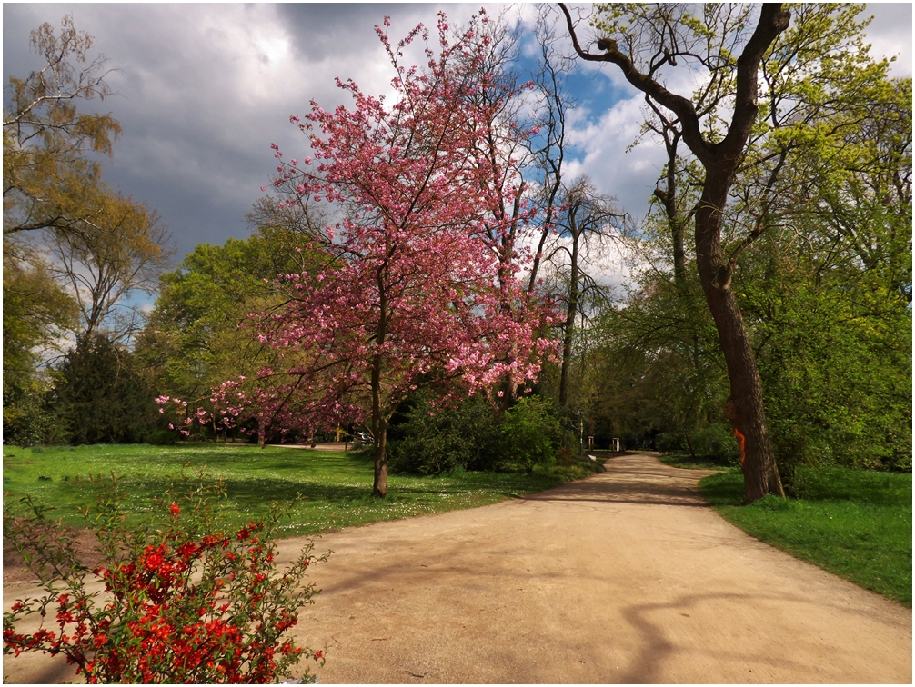 Frühling im Park (2)