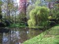 Frühling im Park 2 von Fritz Görlitz