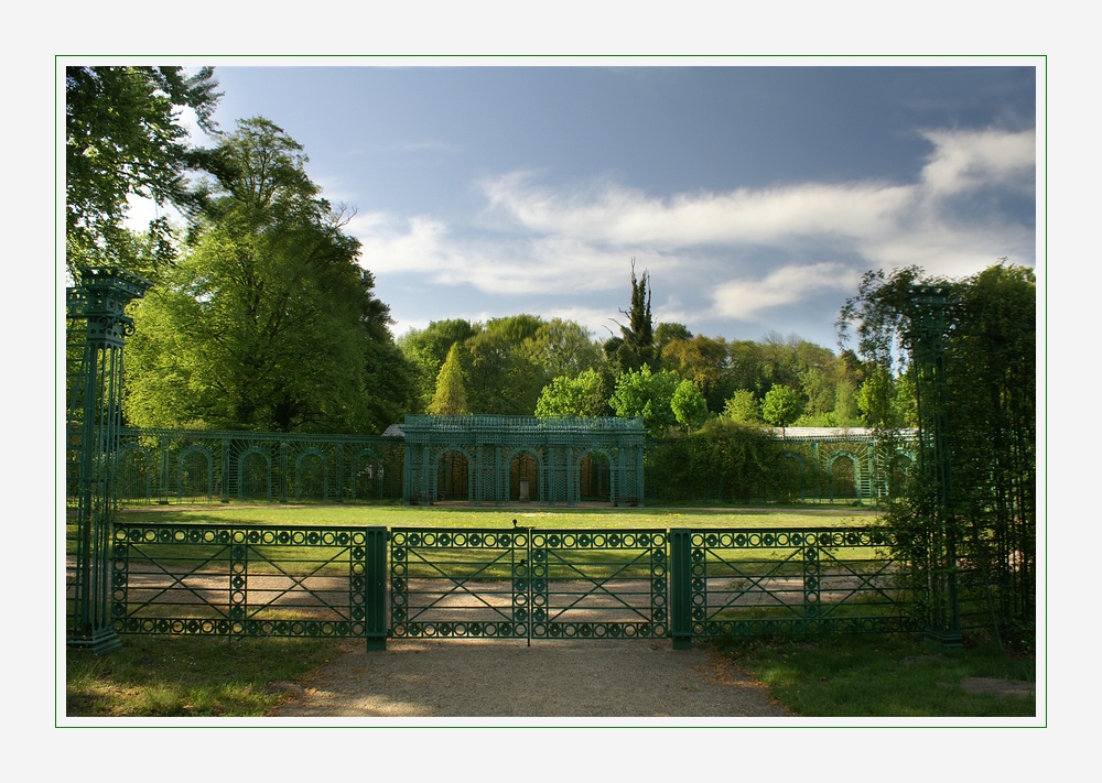 Frühling im Park (2)