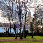 Frühling im Park 