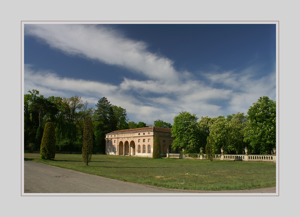 Frühling im Park