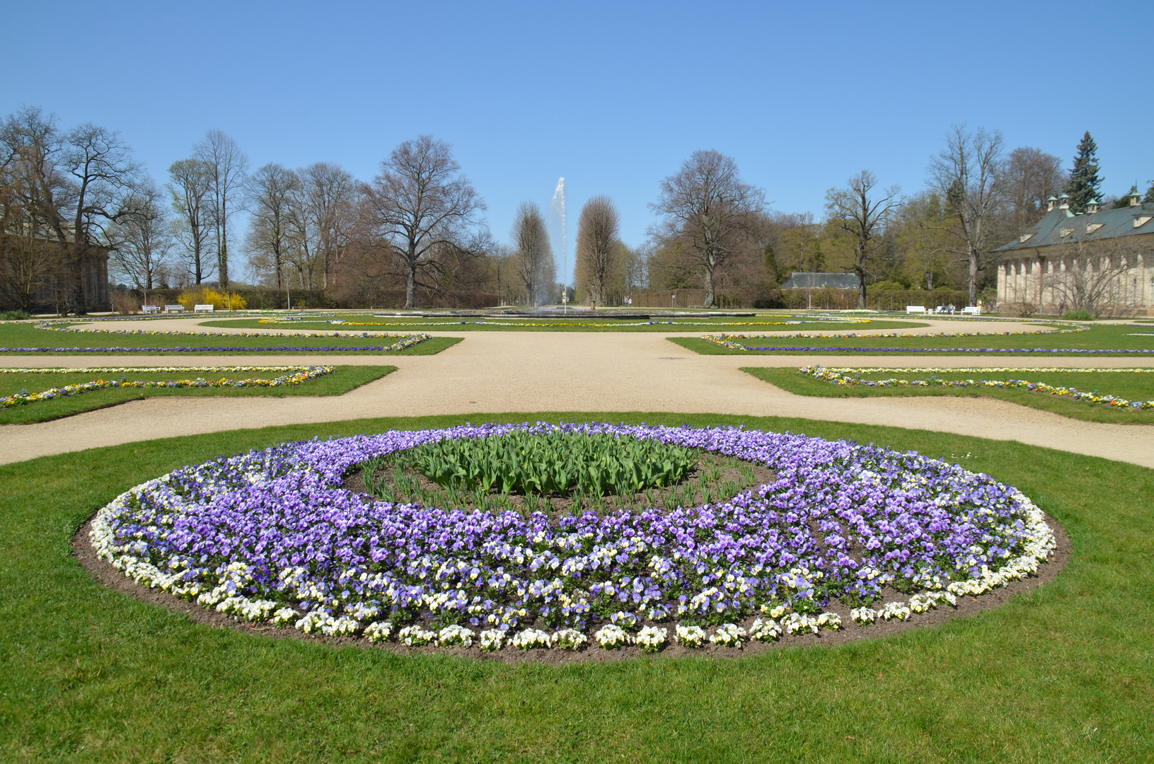 Frühling im Park