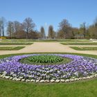 Frühling im Park