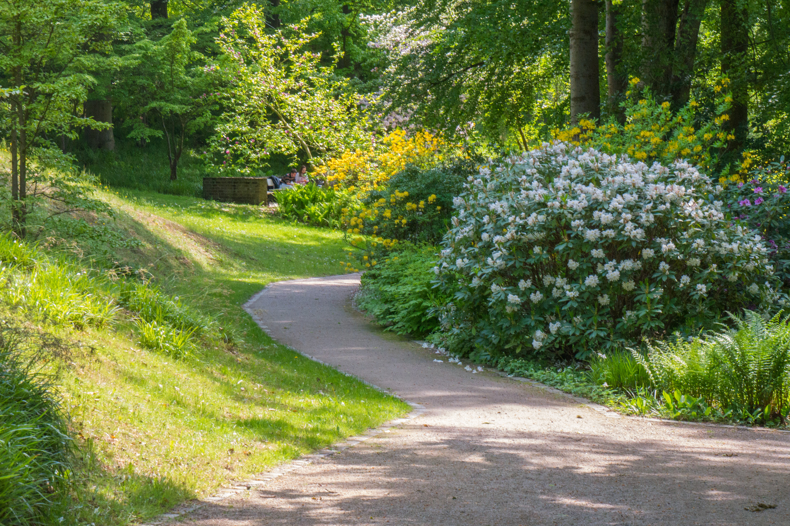 Frühling im Park