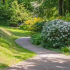 Frühling im Park