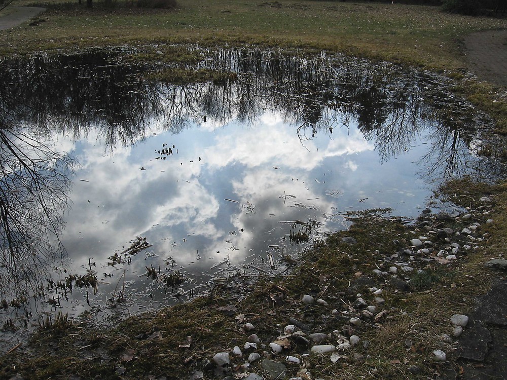 Frühling im Park 3