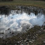 Frühling im Park 3