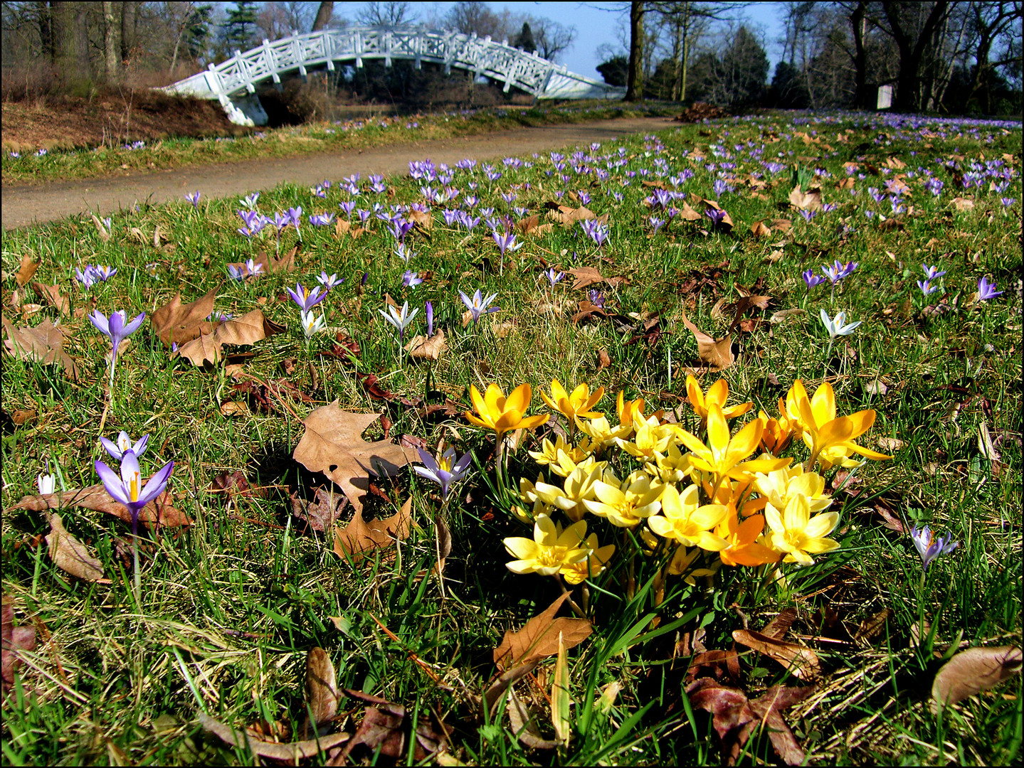 Frühling im Park