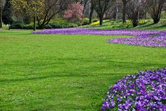 Frühling im Park