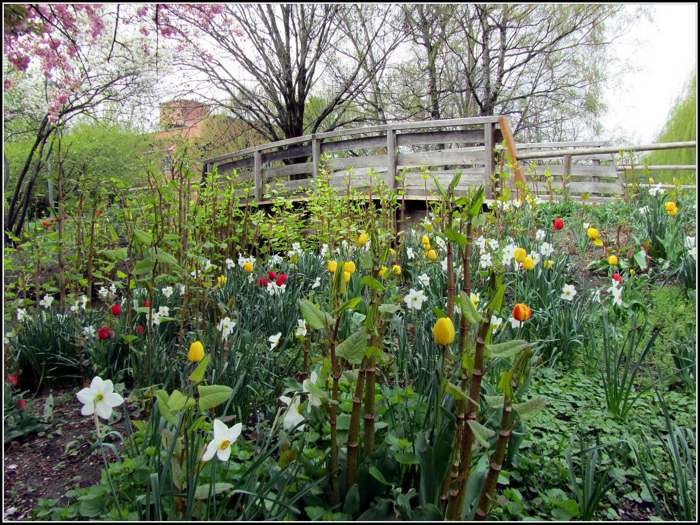 Frühling im Park (4)